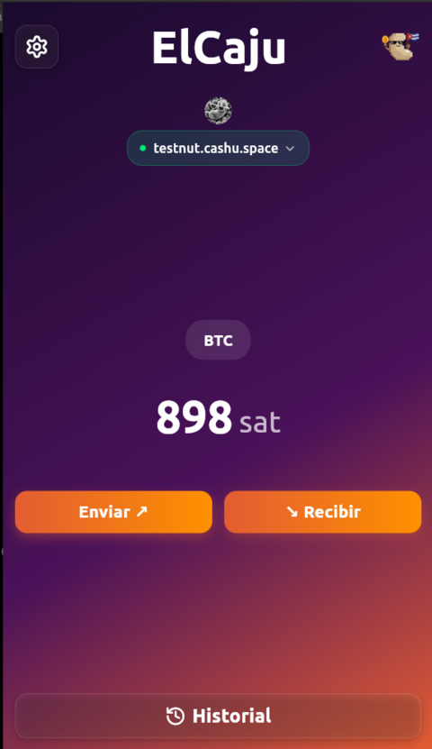 ElCaju - Pantalla principal con balance